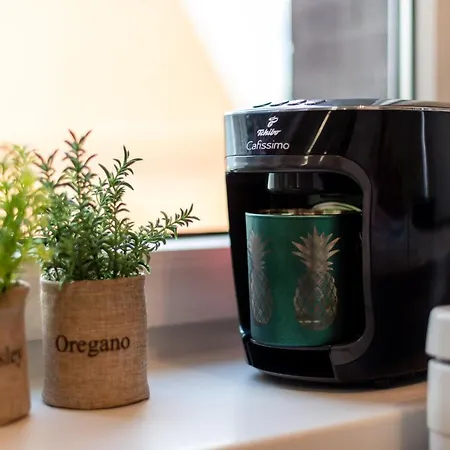 公寓 Sleepway - Exotic Dream 波兹南